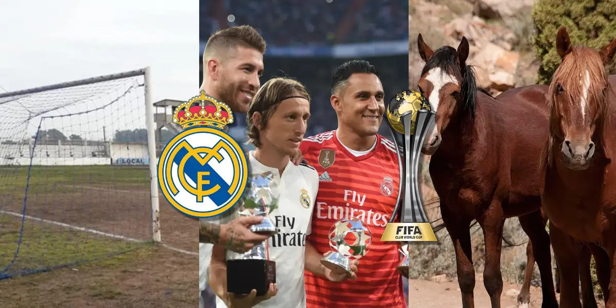 Fue uno de los máximos exponentes de la última década del Real Madrid pero no tiene club y vende caballos